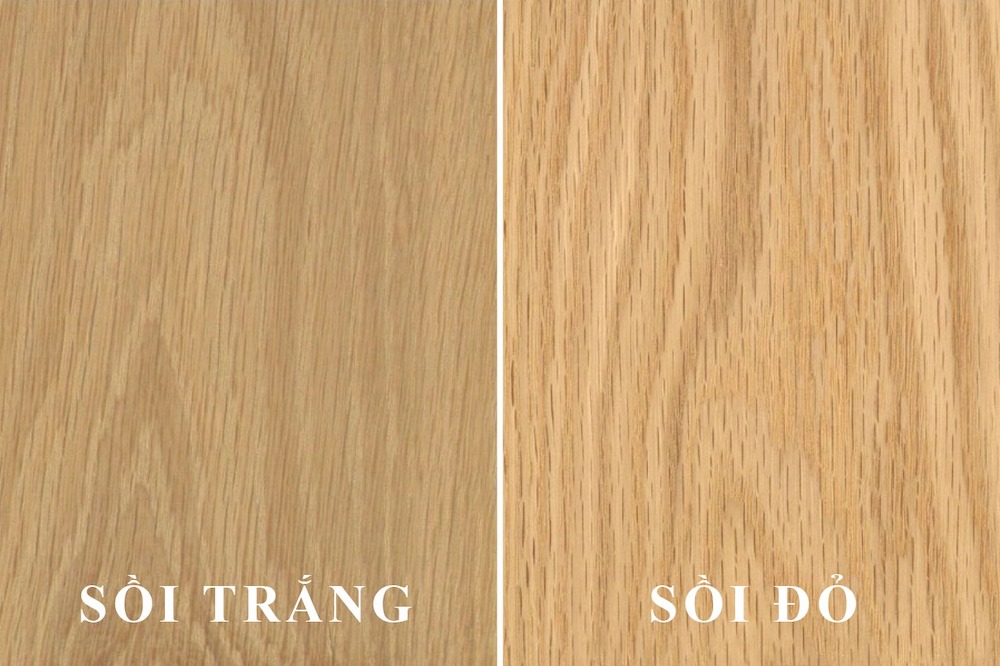 Phân biệt bàn ăn gỗ sồi thật hay giả dựa vào chất liệu, trọng lượng và kết cấu sản phẩm