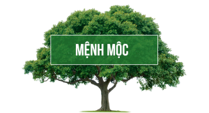 Đặc điểm người mệnh Mộc