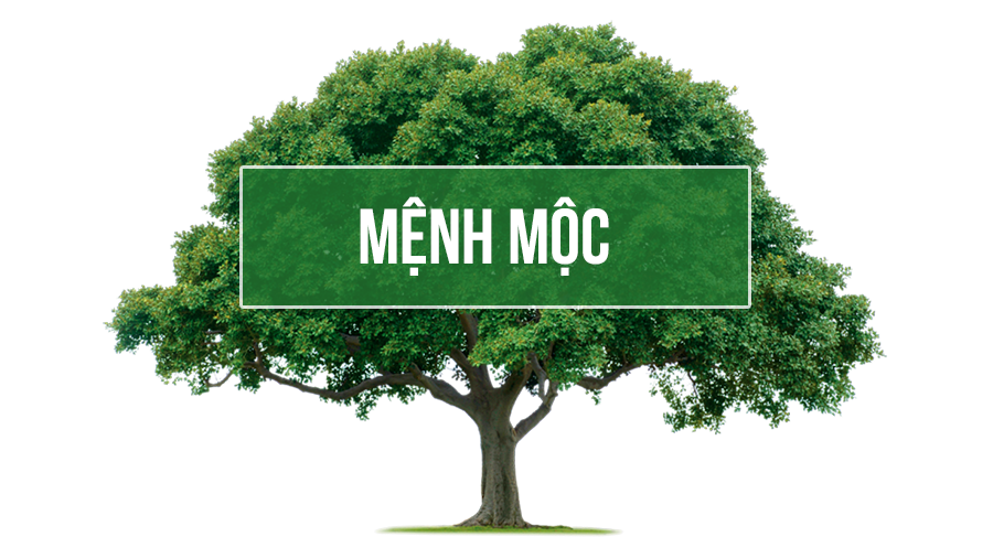 Đặc điểm người mệnh Mộc