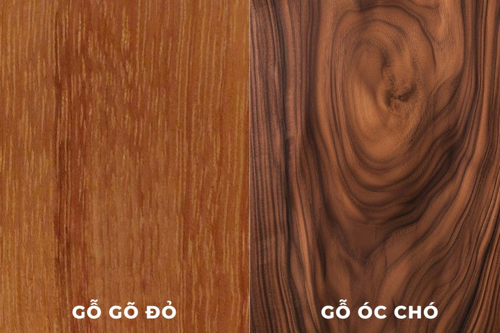 Gỗ óc chó thuộc hàng gỗ cao cấp hiện nay