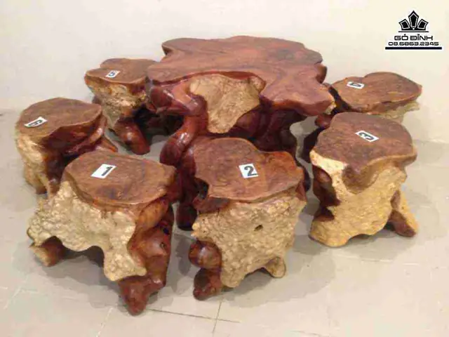 Bàn Ghế Rễ Cây Bàn Ghế Rễ Cây