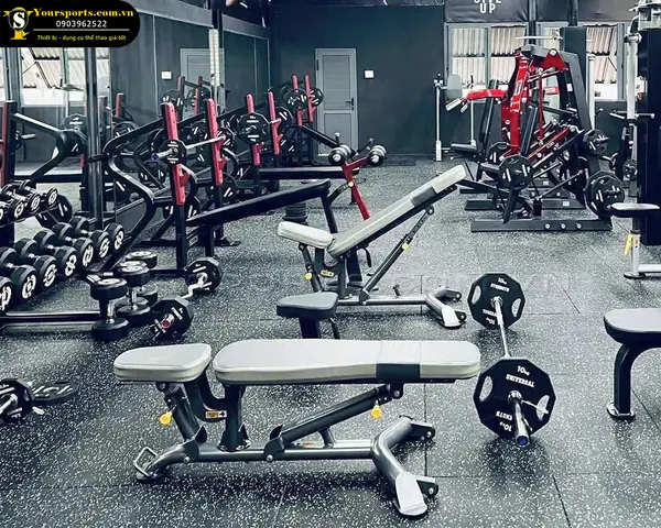 Cách Chỉnh Ghế Tập Gym Cách Chỉnh Ghế Tập Gym