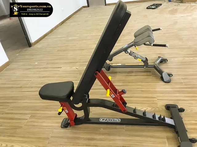 Cách Chỉnh Ghế Tập Gym Cách Chỉnh Ghế Tập Gym