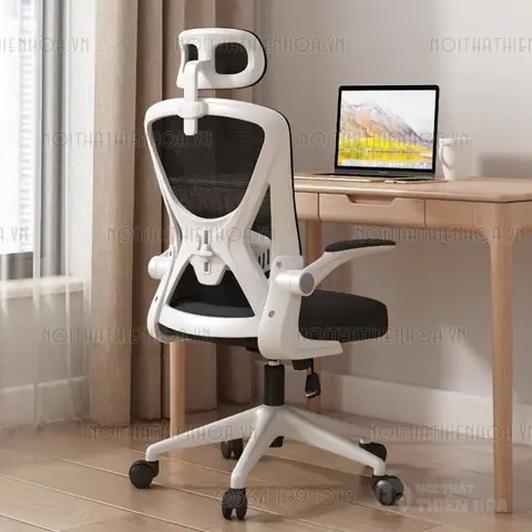 Ghế Thái Công Học Ghế Thái Công Học