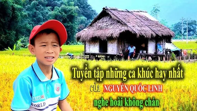 Hàng Ghế Đá Xanh Tàng Cây Góc Sân Trường